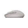 CANYON mouse MW-12 Dual band Wireless Beige