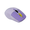 CANYON mouse MW-26 LCD Silent Dual Mode Wireless Violet
