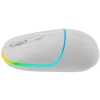 CANYON mouse MW-22 2in1 BT/ Wireless Snow White