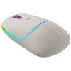 CANYON mouse MW-22 2in1 BT/ Wireless Rice