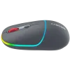 CANYON mouse MW-22 2in1 BT/ Wireless Dark Grey