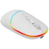 CANYON mouse MW-22 2in1 BT/ Wireless Snow White