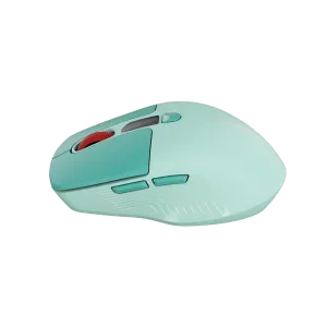 CANYON mouse MW-26 LCD Silent Dual Mode Wireless Green