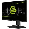 MSI MAG 255PxF, Gaming Monitor, 24.5