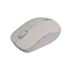 CANYON mouse MW-12 Dual band Wireless Beige