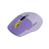 CANYON mouse MW-26 LCD Silent Dual Mode Wireless Violet