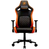Cougar Chair Defensor