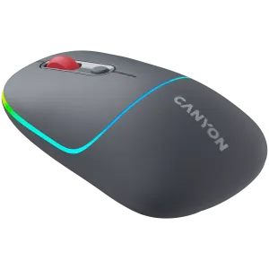 CANYON mouse MW-22 2in1 BT/ Wireless Dark Grey