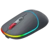 CANYON mouse MW-22 2in1 BT/ Wireless Dark Grey