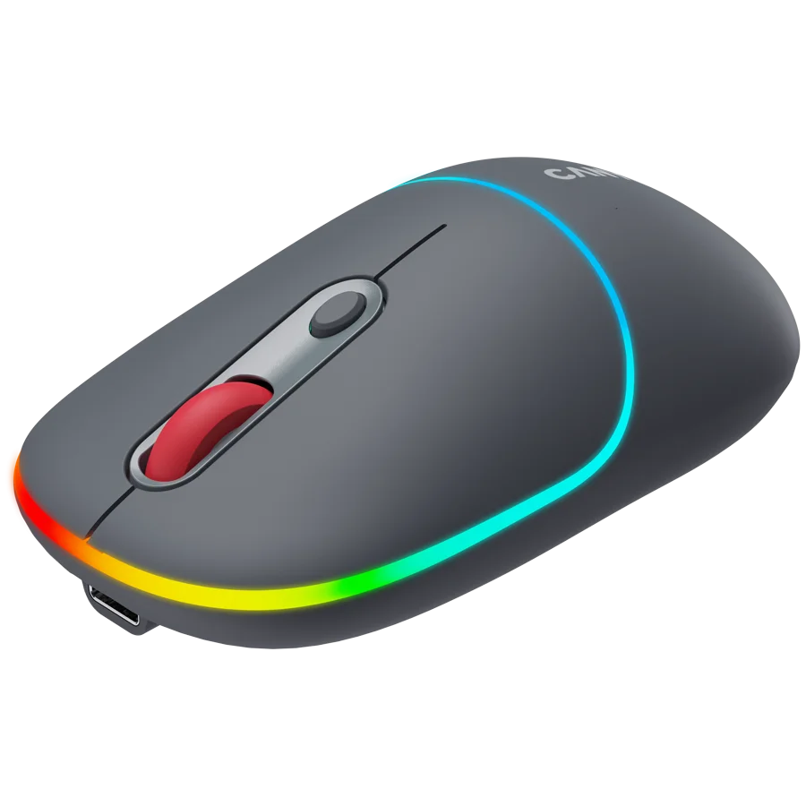CANYON mouse MW-22 2in1 BT/ Wireless Dark Grey