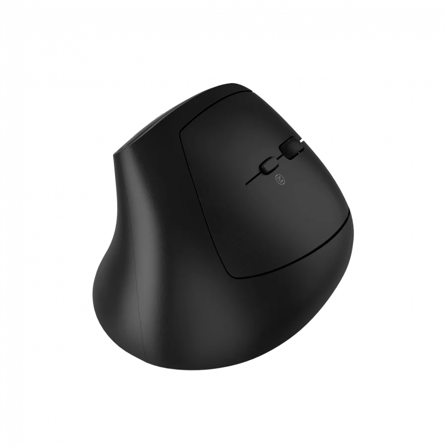 CANYON mouse MW-25 Ergonomic LED AA Dual mode Wireless Black