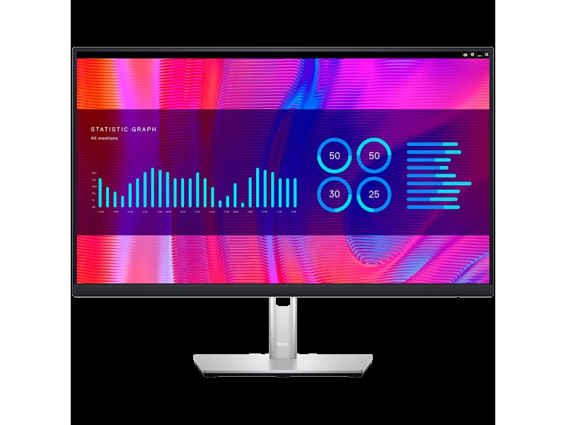 Dell Monitor LED P2423DE, 23.8