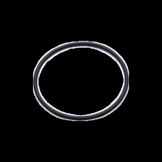 EK-D5 Pump O-Ring
