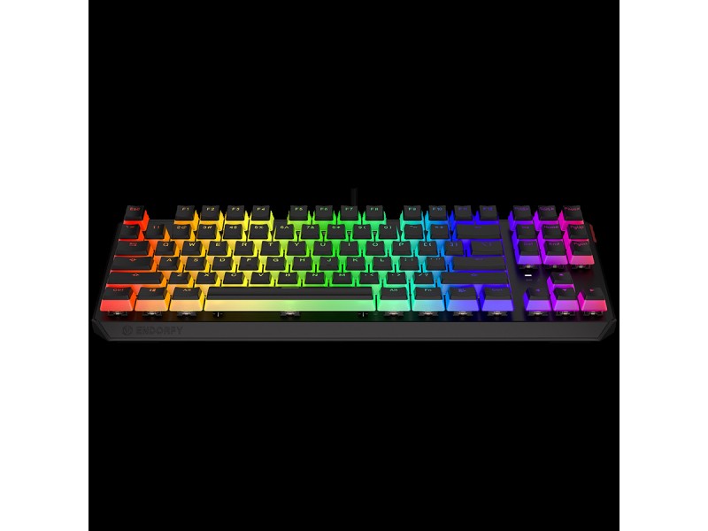 Endorfy Thock TKL Pudding Red Gaming Keyboard, Kailh Red Mechanical Switches, Double Shot PBT Pudding Keycaps, ARGB, USB, 2 Year Warranty