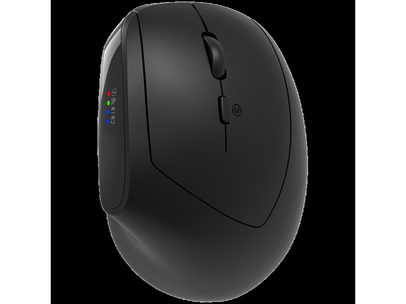 CANYON mouse MW-25 Ergonomic LED AA Dual mode Wireless Black