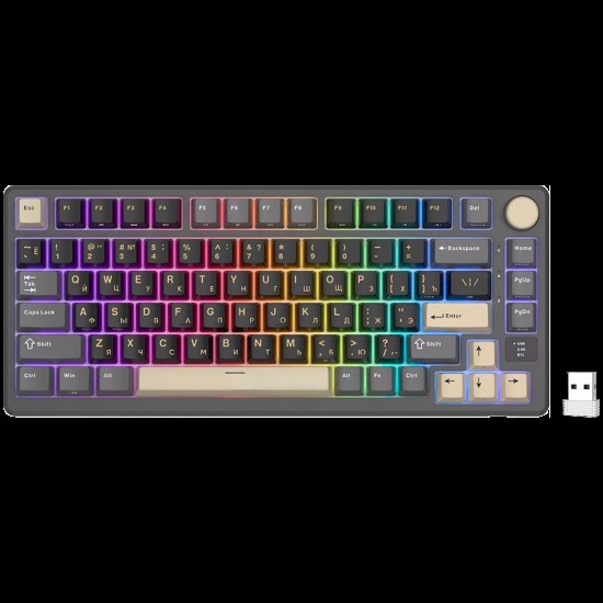 ROYAL KLUDGE RK-M75 Phantom Gaming Keyboard K Silver switch