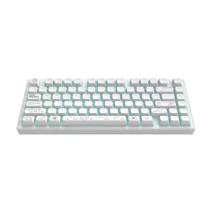 Геймърскa безжична клавиатура Dark Project ALU81A Terra Nova R2 White RGB