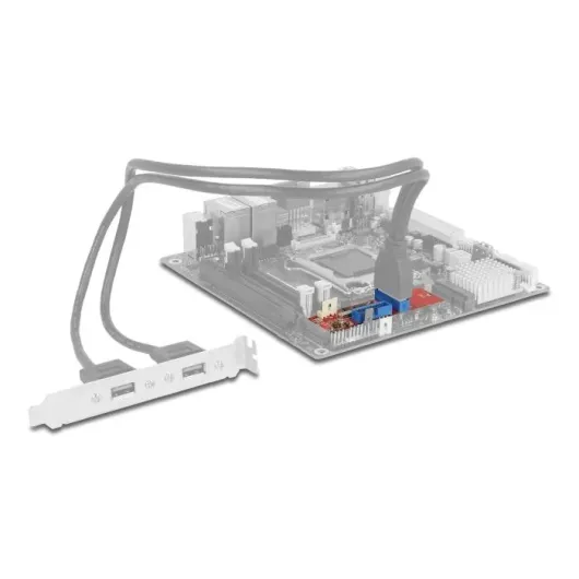 Адаптер Delock, M.2 Key B+M мъжко към 2 x USB 5 Gbps Pin Header