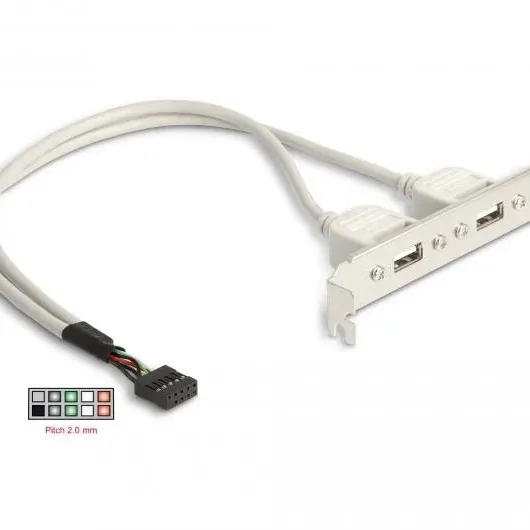 Скоба Delock, За монтаж в PC, USB 10 pin към 2 x USB 2.0 type A