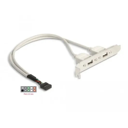 Скоба Delock, За монтаж в PC, USB 10 pin към 2 x USB 2.0 type A