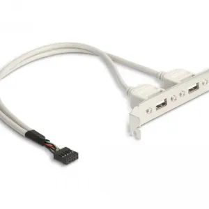 Скоба Delock, За монтаж в PC, USB 10 pin към 2 x USB 2.0 type A