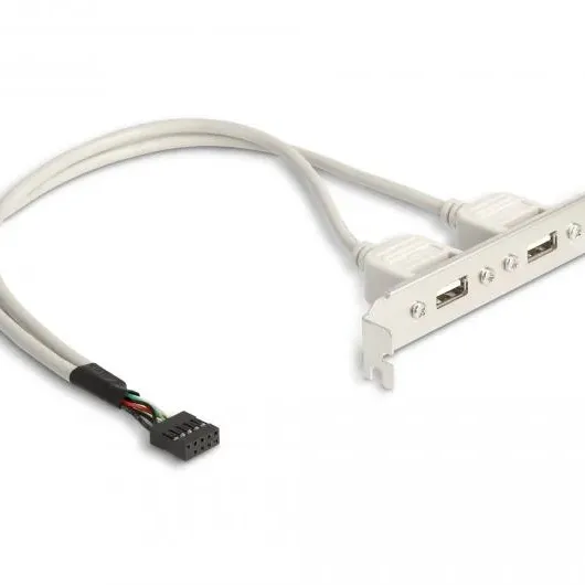 Скоба Delock, За монтаж в PC, USB 10 pin към 2 x USB 2.0 type A