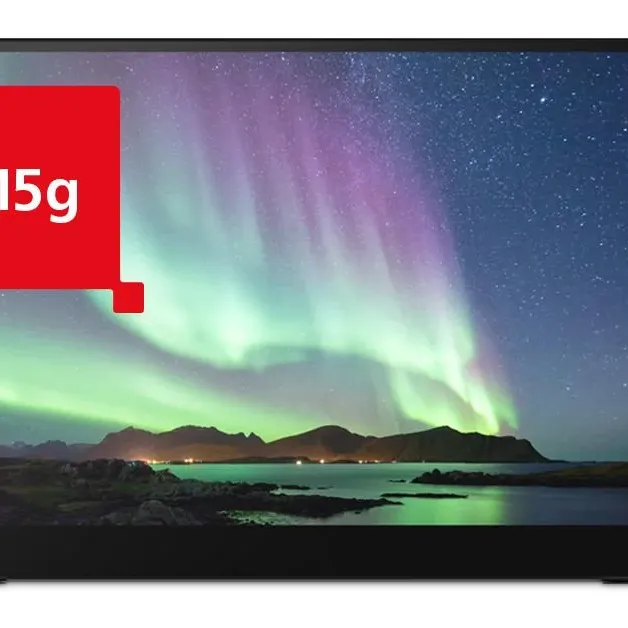 Преносим тъч монитор  RICOH 150BW, OLED, 15.6