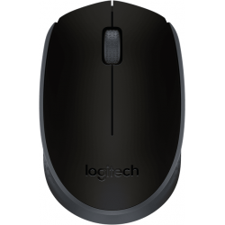 Безжична оптична мишка LOGITECH M171, Черна, USB