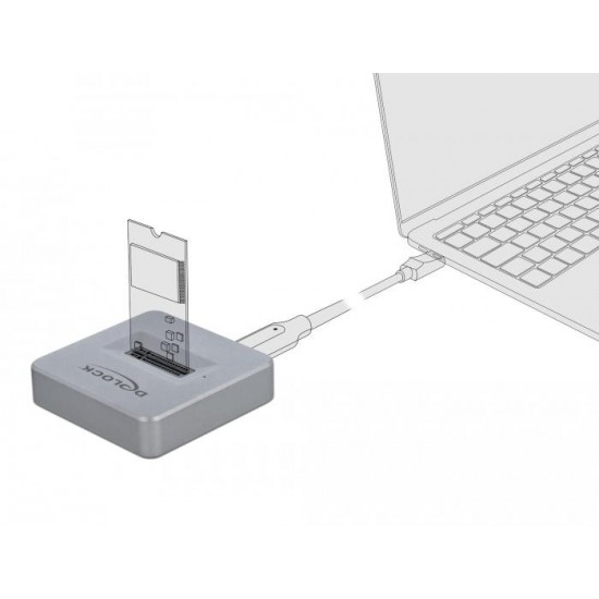 Докинг станция Delock, За M.2 NVMe PCIe SSD, USB-C 3.2 Gen 2