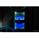 Течност за водно охлаждане Alphacool Eiswasser Crystal Blue, 1000ml
