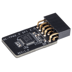 Защитен модул Gigabyte GC-TPM2.0 SPI V2 1.0