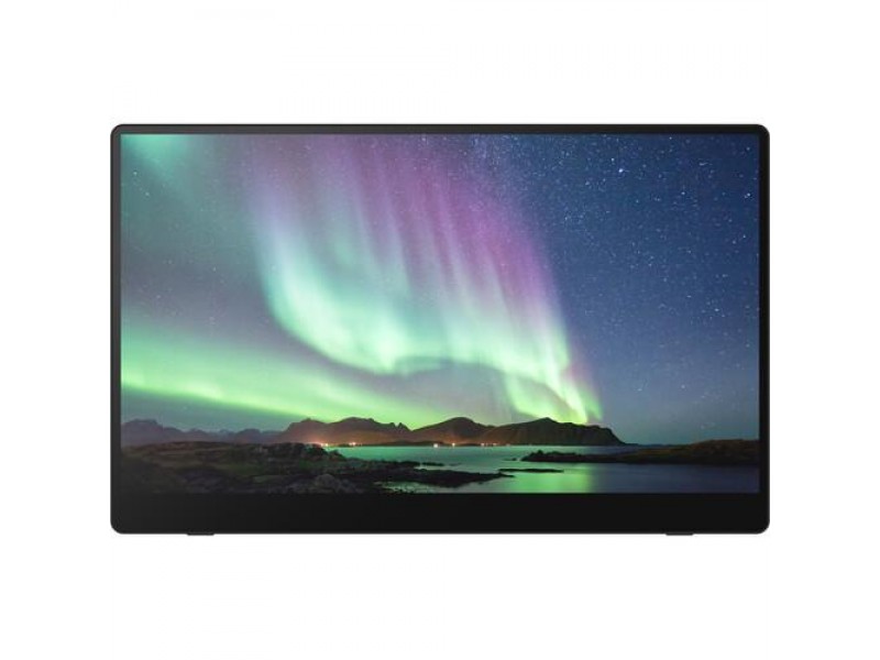 Преносим тъч монитор  RICOH 150, OLED, 15.6
