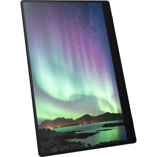 Преносим тъч монитор  RICOH 150, OLED, 15.6