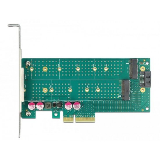 Карта PCI Express x4 Delock към 1x M.2 Key B + 1x M.2 NVMe M.2 Key M, Low Profile