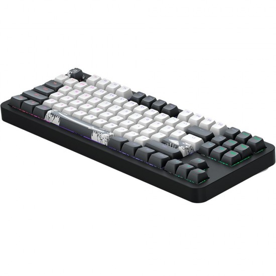 Gaming Mechanical Keyboard Dark Project ALU87B Bushido RGB