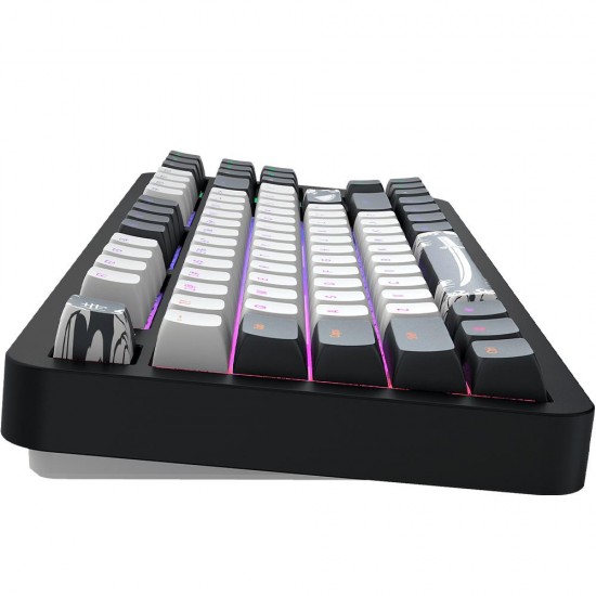 Gaming Mechanical Keyboard Dark Project ALU87B Bushido RGB
