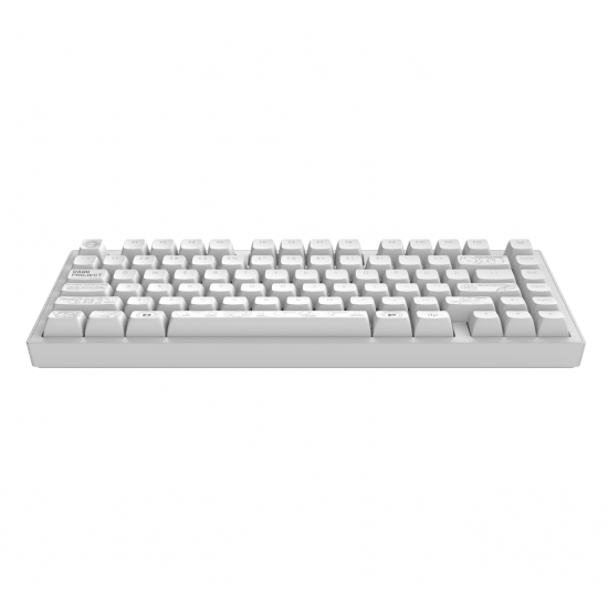 Геймърскa безжична клавиатура Dark Project ALU81A Terra Nova White RGB