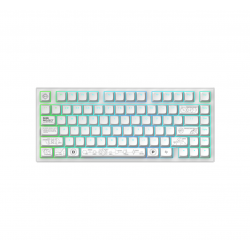 Геймърскa безжична клавиатура Dark Project ALU81A Terra Nova White RGB